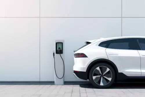 Eco-Friendly Fleet Options